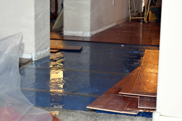 Professional Sewage Cleanup technician working in Barryton, MI